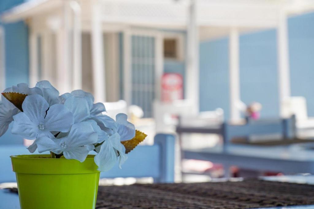 Cesme Minerva Port Hotel Exterior foto